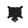 hide-soaked-bear-sun-complete