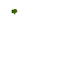 ontree-bellpepper-5-3