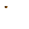 ontree-bellpepper-5-6