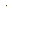ontree-bellpepper-7-1