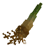 papyrusroot