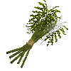 papyrustops