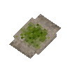 poultice-linen-horsetail