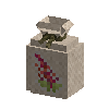 seeds-amaranth
