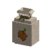 seeds-bellpepper
