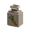 seeds-carrot
