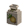 seeds-onion