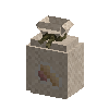 seeds-peanut