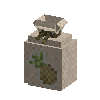 seeds-pineapple