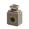seeds-sunflower