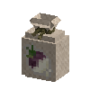 seeds-turnip