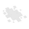 spiritportion-rice