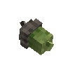 treeseed-oak