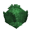 vegetable-cabbage