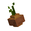 vegetable-onion