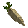vegetable-parsnip