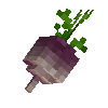 vegetable-turnip